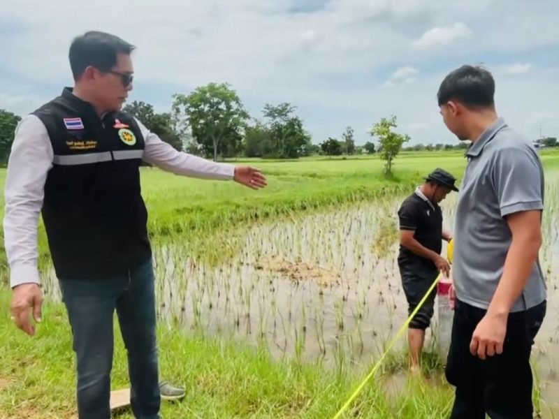 นายกเทศมนตรีลงพื้นที่ตรวจวัดพื้นที่เตรียมการปลูกต้นไม้ปรับภูมิทัศน์