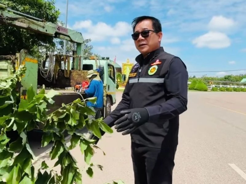 นายกเทศมนตรีติดตามให้กำลังใจเจ้าหน้าที่เทศบาลดำเนินงานตัดแต่งกิ่งไม้ทางแยก ทางโค้ง หรือป้ายบอกสัญญาณ