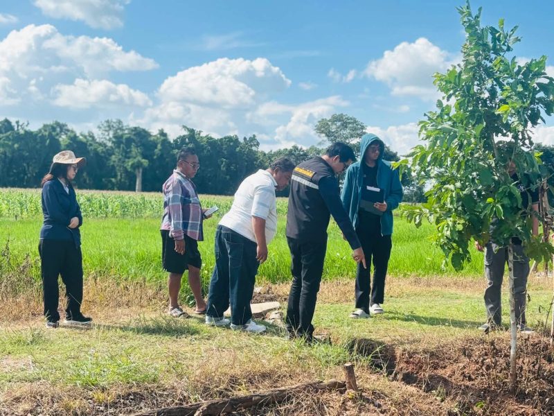 นายกเทศมนตรีลงพื้นที่ตรวจสอบการใช้สารเคมีและการขุดท่อลอด  บ้านดอนยาว หมู่ 7